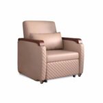 Luxurious Accompanv Sofa Bed