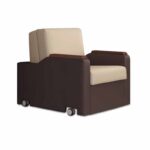 Luxurious Accompanv Sofa Bed